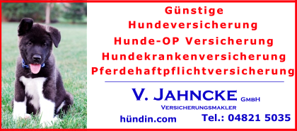 Huendinnen