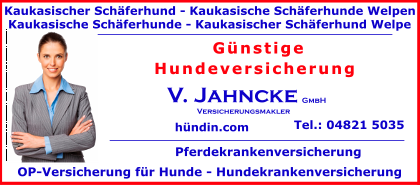 Kaukasischer-Schaeferhund